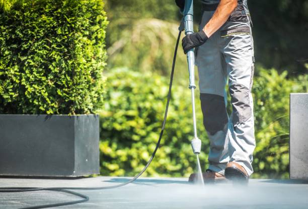 Best Soft Washing for Delicate Surfaces in North Alamo, TX