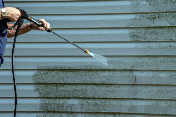 Best Graffiti Removal Services in North Alamo, TX